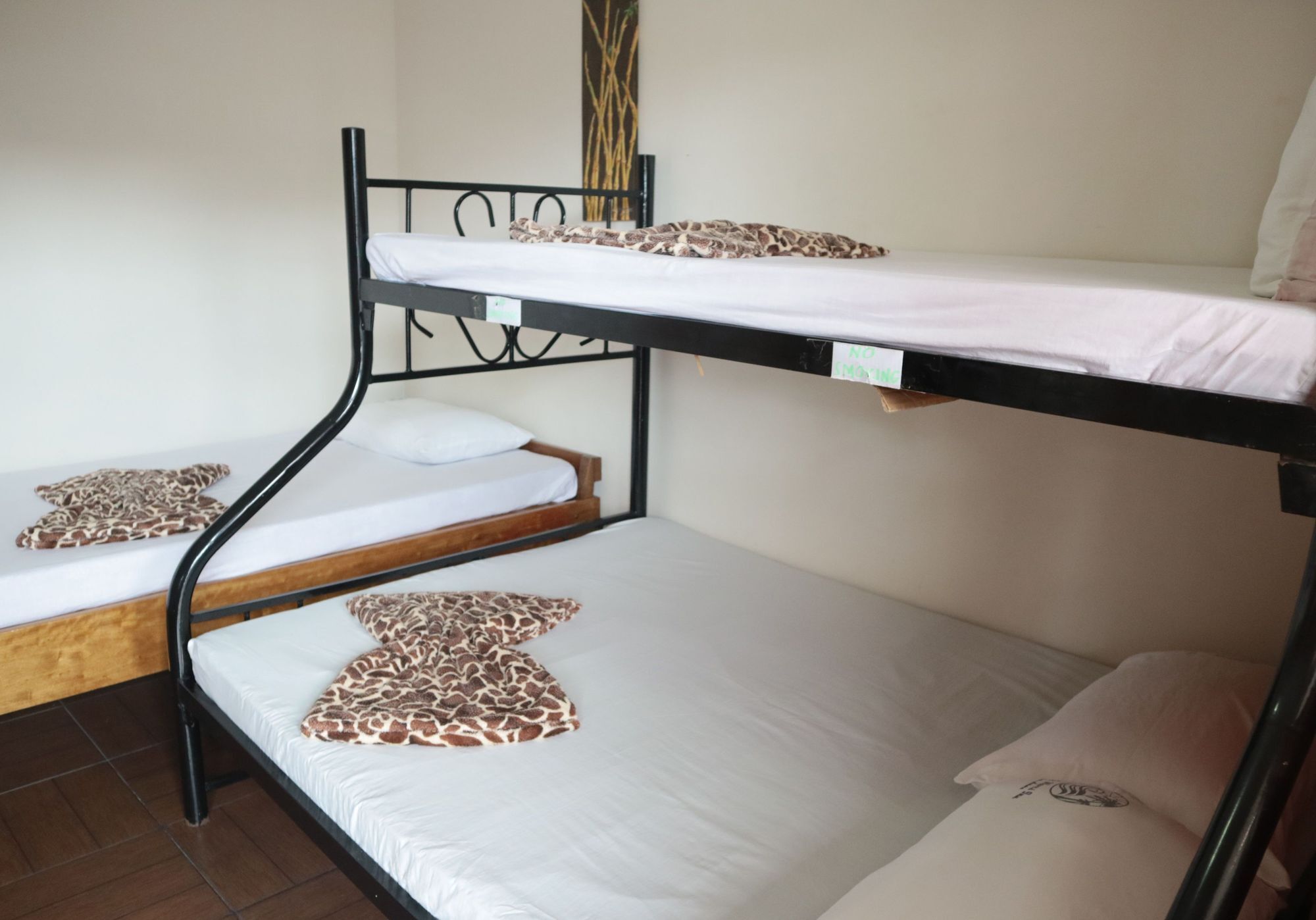 Pacific Waves Inn Baler Dış mekan fotoğraf